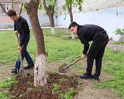 Более 300 студентов АГПК приняли участие во Всероссийском субботнике